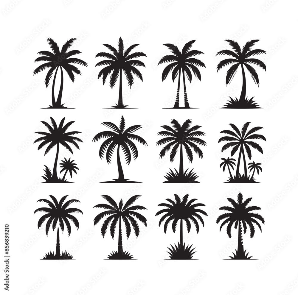 Black palm trees set isolated on white background. Palm silhouettes. Design of palm trees for posters, banners and promotional items. Vector illustration Black palm trees set isolated on white background. Palm silhouettes. Design of palm trees for posters, banners and promotional items. Vector illustration