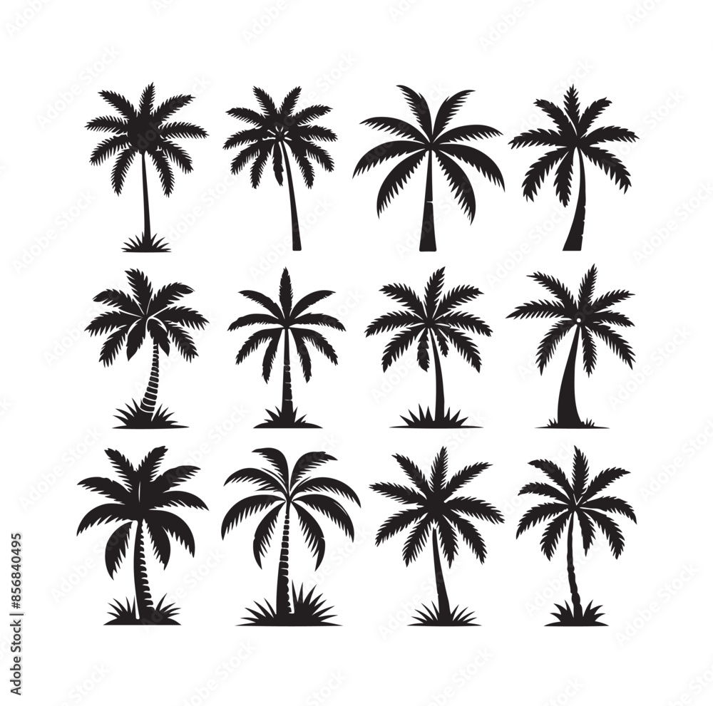 Black palm trees set isolated on white background. Palm silhouettes. Design of palm trees for posters, banners and promotional items. Vector illustration Black palm trees set isolated on white background. Palm silhouettes. Design of palm trees for posters, banners and promotional items. Vector illustration