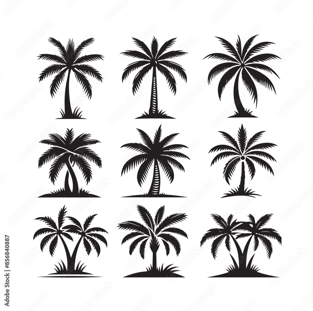 Black palm trees set isolated on white background. Palm silhouettes. Design of palm trees for posters, banners and promotional items. Vector illustration Black palm trees set isolated on white background. Palm silhouettes. Design of palm trees for posters, banners and promotional items. Vector illustration