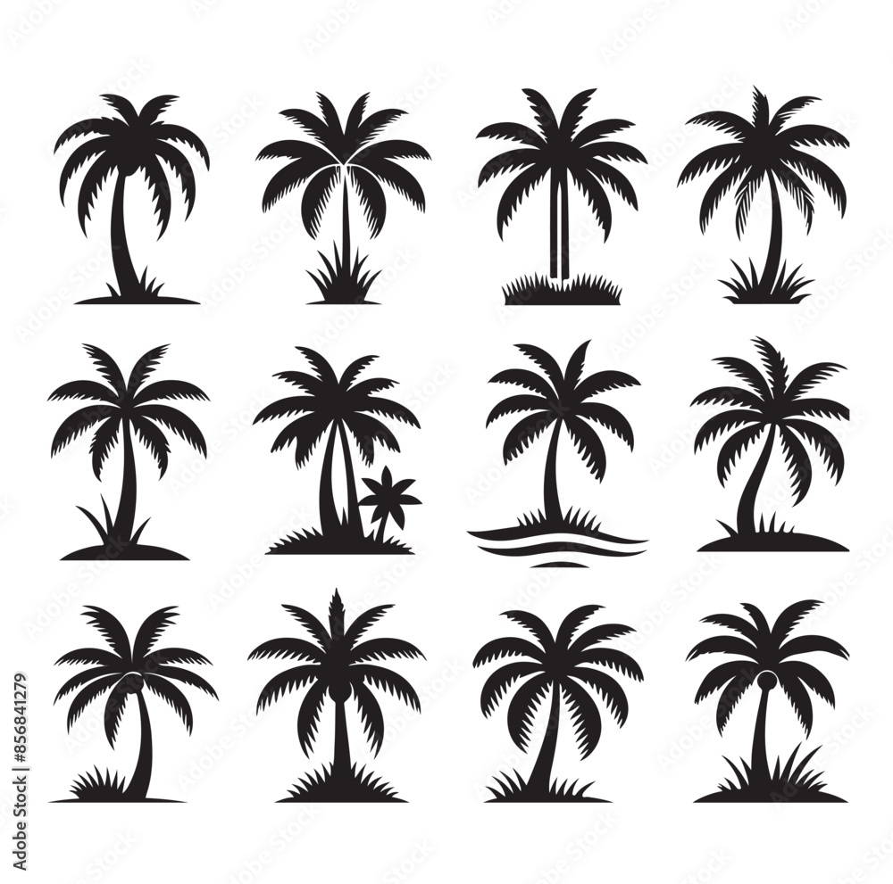 Black palm trees set isolated on white background. Palm silhouettes. Design of palm trees for posters, banners and promotional items. Vector illustration Black palm trees set isolated on white background. Palm silhouettes. Design of palm trees for posters, banners and promotional items. Vector illustration