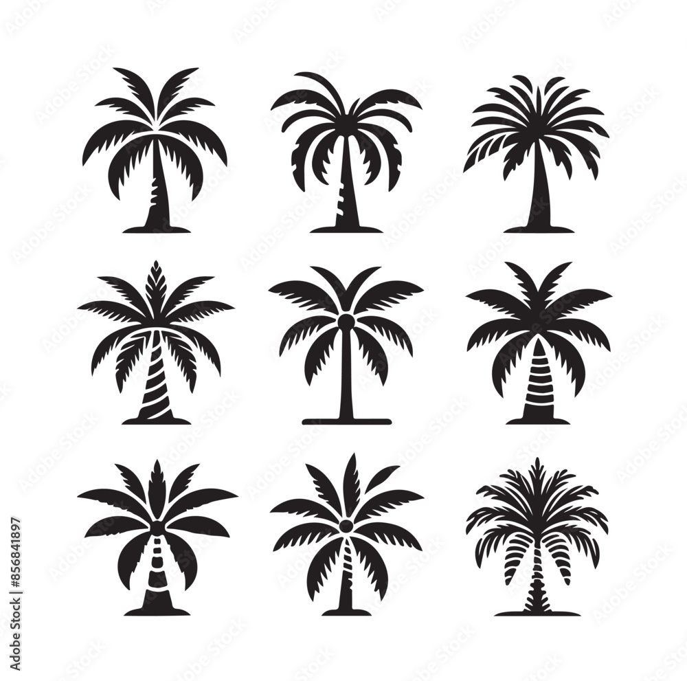 Black palm trees set isolated on white background. Palm silhouettes. Design of palm trees for posters, banners and promotional items. Vector illustration Black palm trees set isolated on white background. Palm silhouettes. Design of palm trees for posters, banners and promotional items. Vector illustration