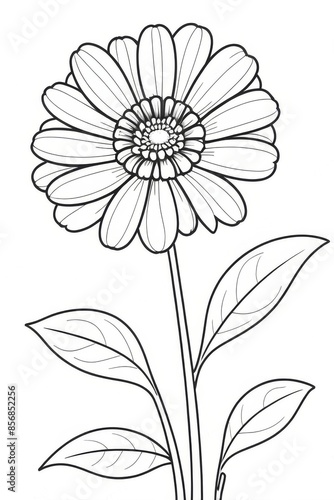 Wallpaper Mural Zinnia flower Kids/ adults coloring page book art, line art illustration Torontodigital.ca