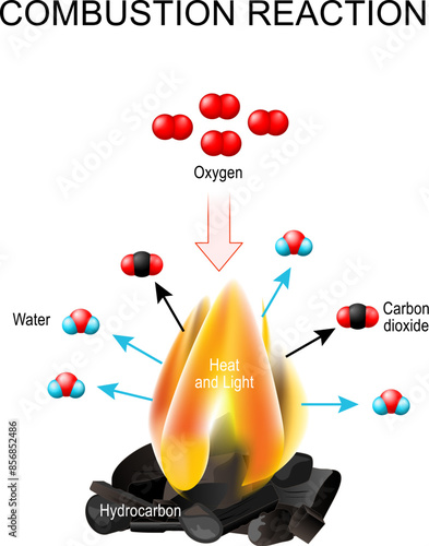 Combustion reaction