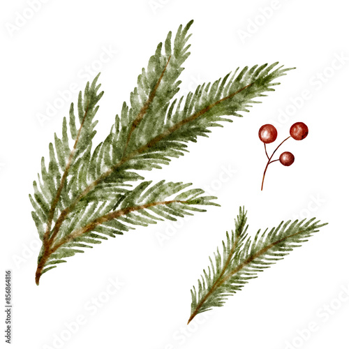 Twig and branch of Christmas tree evergreen fir. Watercolor vector plant cut out from background