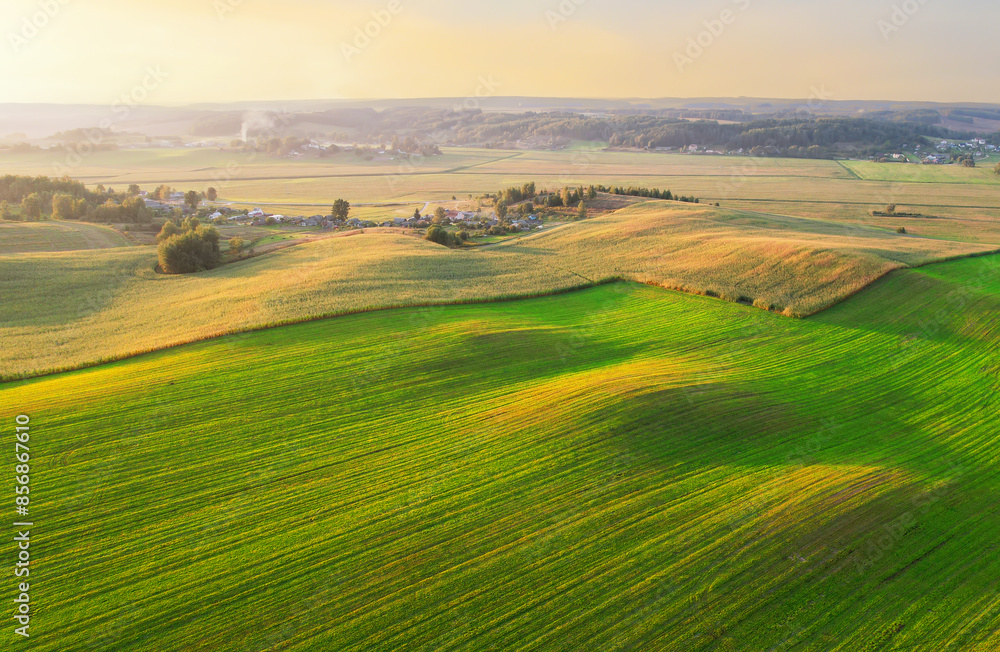 Fototapeta premium Farm field on sunset. Foggy morning in countryside, aerial view. Agricultural corn field on sunset. Rural landscape in autumn landscape. Green Agricultural field in sun's rays, drone view.