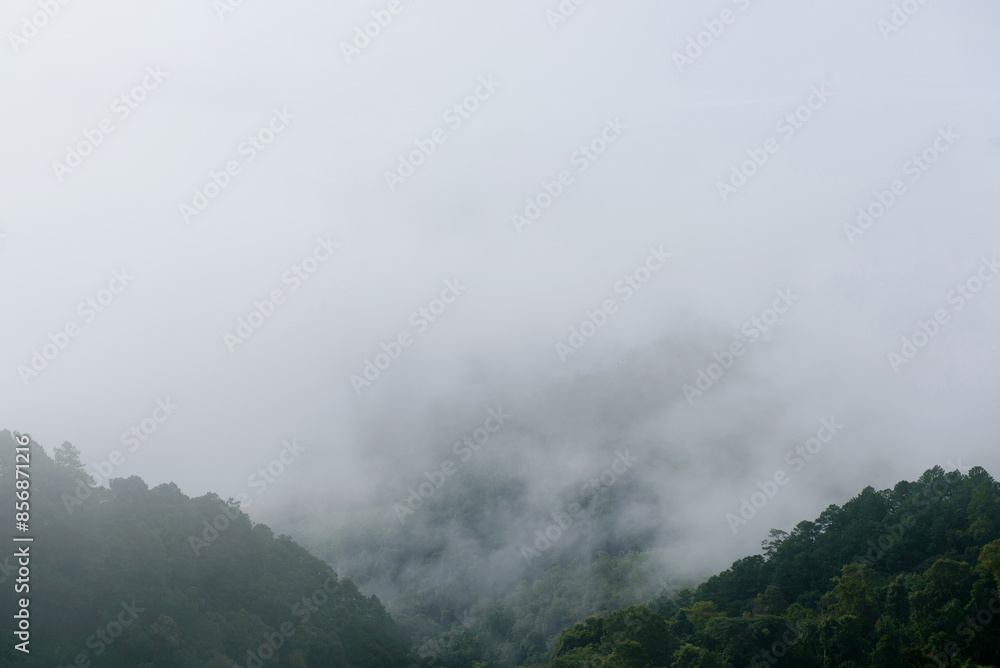 View of the foggy landscape from top of the mountain. View of the foggy landscape from top of the mountain.