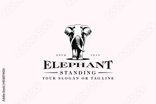 elephant logo design concept premium vector template