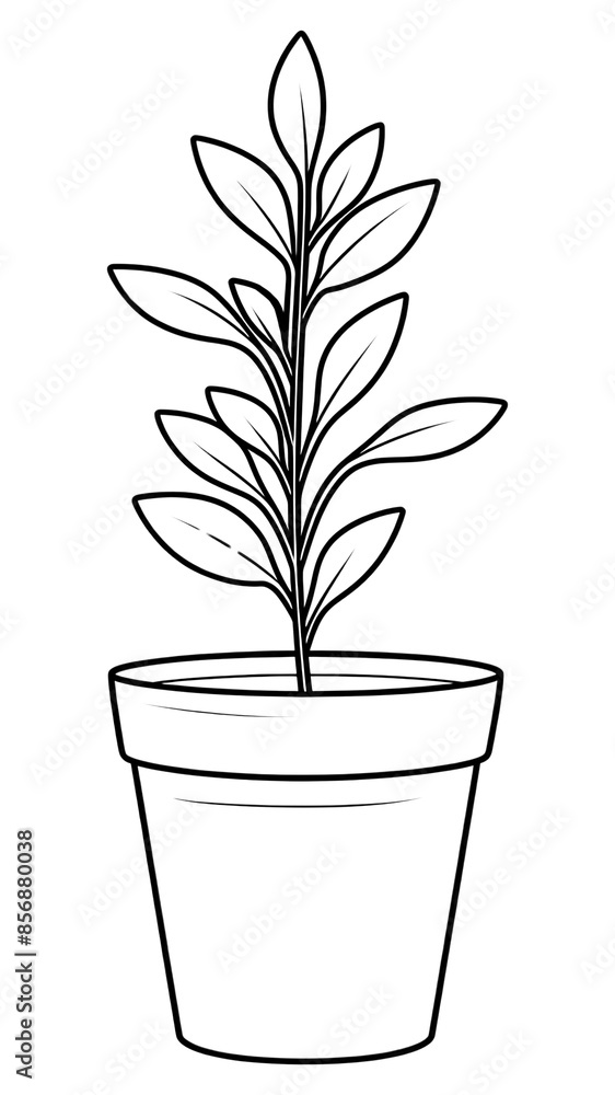 PNG Indoor plant sketch drawing line. PNG Indoor plant sketch drawing line.