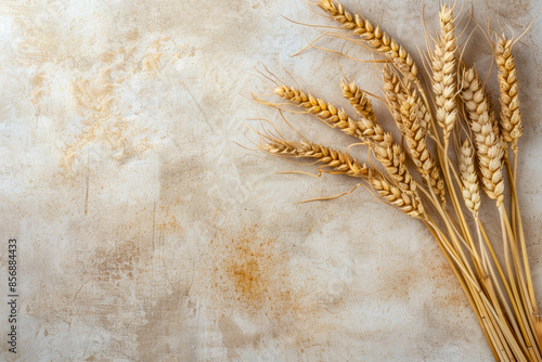 Poster with copy space for shavuot with wheat