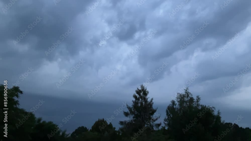 Stormy sky with dark rainy clouds and constant lightnings and flashes during storm over horizon with trees - real time. Topics: dangerously weather, meteorology, climate, season, summer, nature Stormy sky with dark rainy clouds and constant lightnings and flashes during storm over horizon with trees - real time. Topics: dangerously weather, meteorology, climate, season, summer, nature