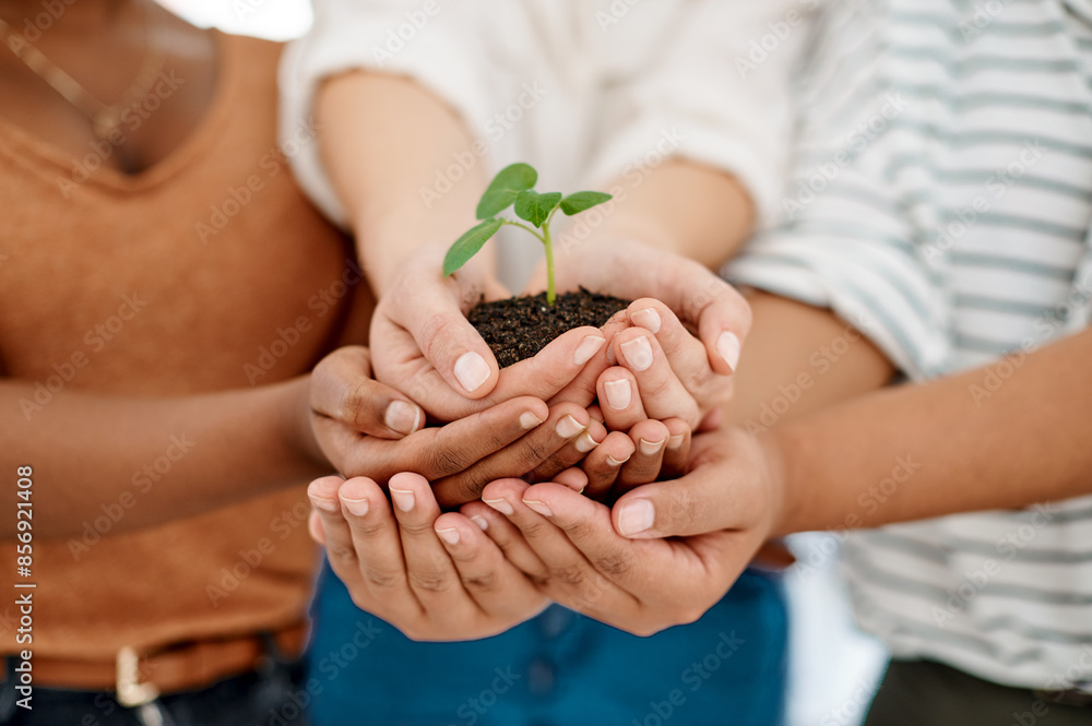 Soil, leaf and hands of business people together with teamwork, collaboration and support for earth day. Eco friendly, agro and group of employees with dirt for green plant growth for sustainability. Soil, leaf and hands of business people together with teamwork, collaboration and support for earth day. Eco friendly, agro and group of employees with dirt for green plant growth for sustainability.