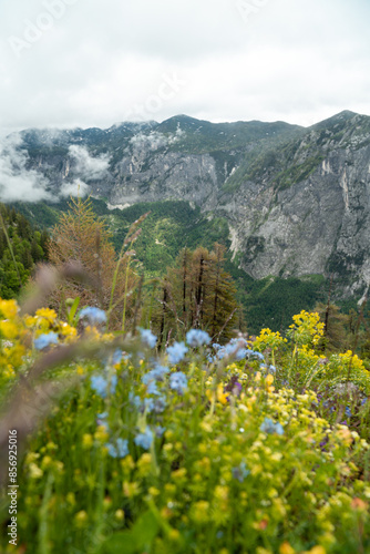 Blick vom Loser auf das tote Gebirge sowie das Ausseerland und den Dachsteingletscher, Salzkammergut, Streiermark, Österreich im Sommer photo