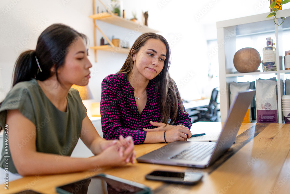 Asian woman and Aboriginal woman sitting together at a desk in office looking at laptop Asian woman and Aboriginal woman sitting together at a desk in office looking at laptop
