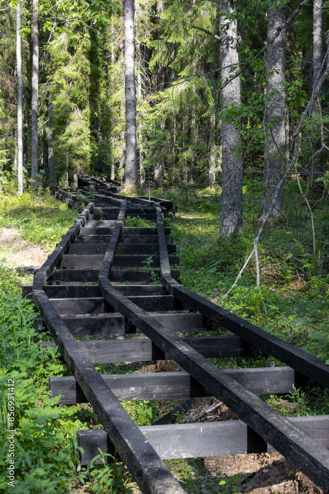Construction of a wooden path in the forest. The base for an ecological trail among the trees. Creation of tourist infrastructure for hiking in the forest and outdoor activities. Construction of a wooden path in the forest. The base for an ecological trail among the trees. Creation of tourist infrastructure for hiking in the forest and outdoor activities.