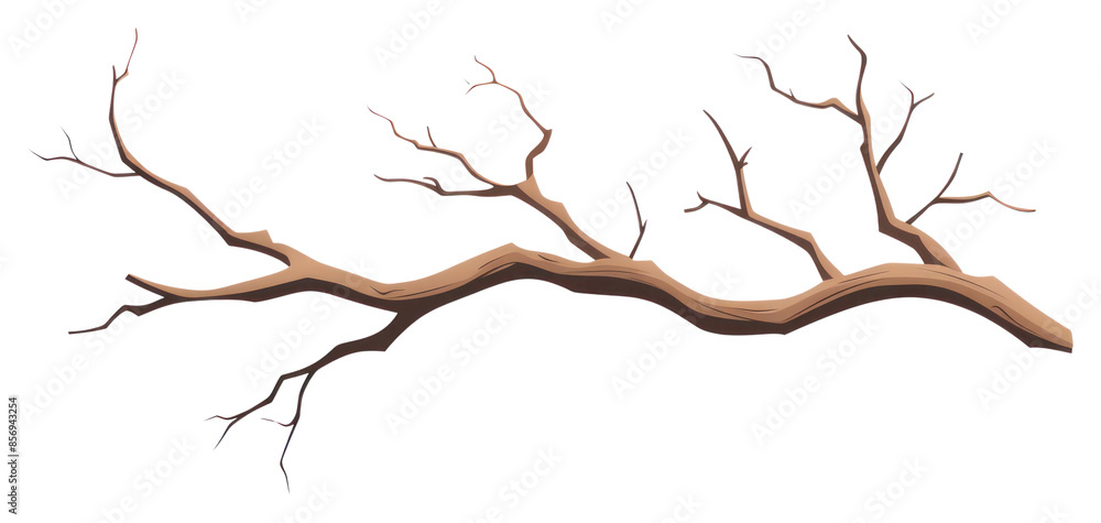 Fototapeta premium PNG A Dry branch tree nature antler plant.