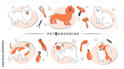 Pet grooming. Dog and cat beauty grooming salon, haircuts, bathing, care hair of pet. Vector illustration.
