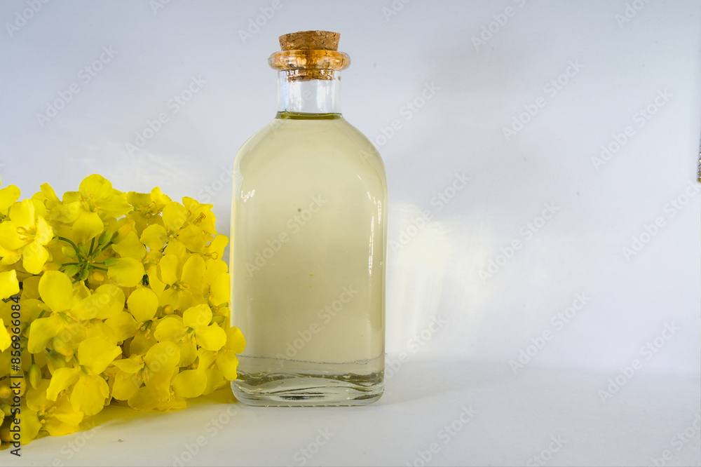 Rapeseed oil in a glass bottle with yellow rapeseed flowers on a white background. Rapeseed oil in a glass bottle with yellow rapeseed flowers on a white background.