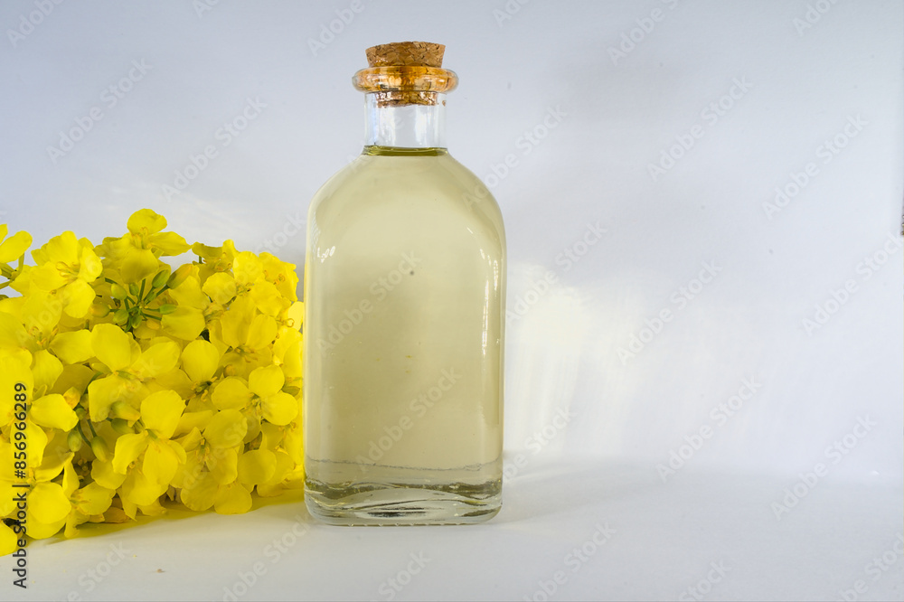 Rapeseed oil in a glass bottle with yellow rapeseed flowers on a white background. Rapeseed oil in a glass bottle with yellow rapeseed flowers on a white background.