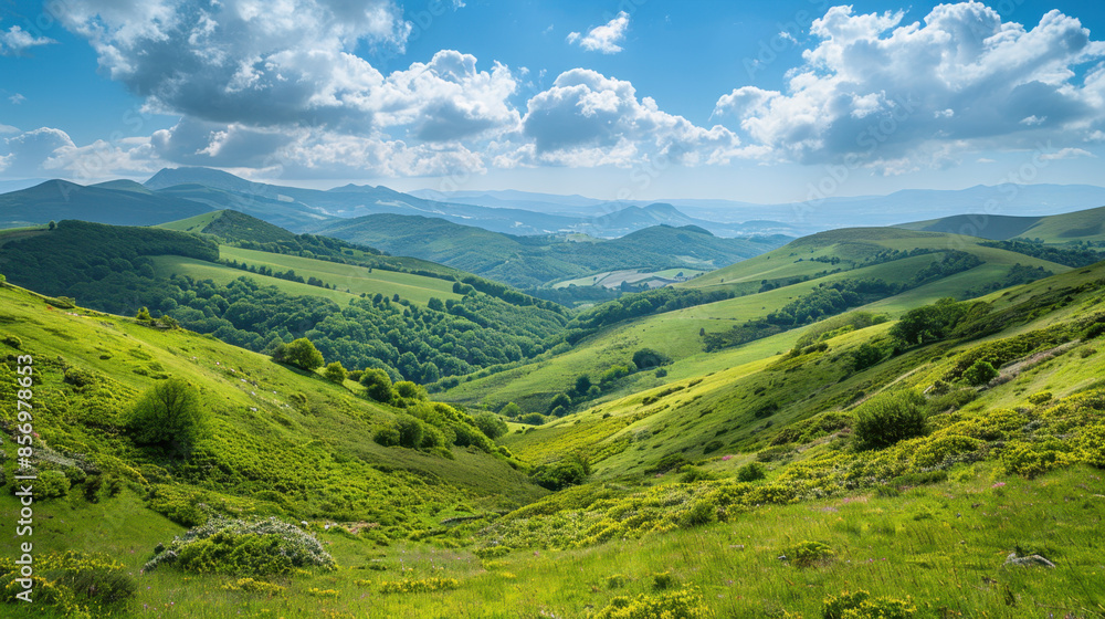 Naklejka premium Scenic view of rolling hills, lush green valleys, scattered trees, and blue sky with fluffy clouds
