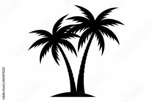 Palm tree Silhouette, set of black silhouettes of a palm tree, silhouette of a palm tree isolated
