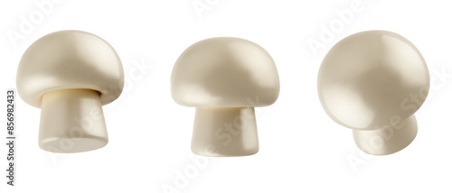 Set of 3d realistic raw champignon mushroom isolated on white background. Fresh fungus plant various view. Vector illustration.