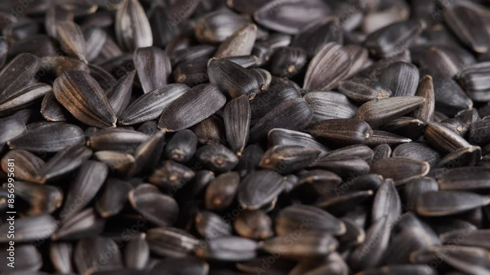 The sunflower seeds on a plate close-up. The sunflower seeds after harvest. Pile of Dried Sunflower Unpeeled Seeds, a Healthy Source of Vitamins in Vegan Food. The sunflower seeds on a plate close-up. The sunflower seeds after harvest. Pile of Dried Sunflower Unpeeled Seeds, a Healthy Source of Vitamins in Vegan Food.