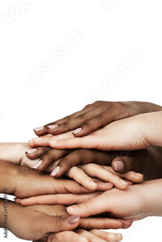 Wallpaper Mural Close-up of a diverse group of female hands, symbolizing unity, inclusivity, cooperation, and diversity Torontodigital.ca