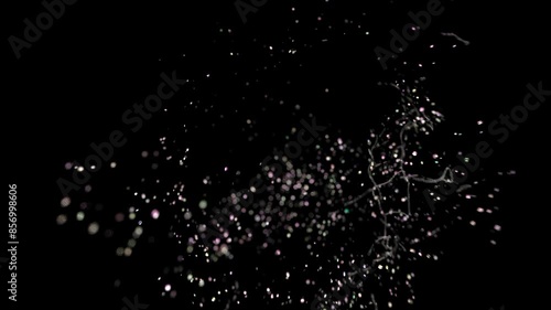 soap bubble pop burst explosion over dark black screen, with alpha 4k colorful motion background, ready for compositing, isolated on black