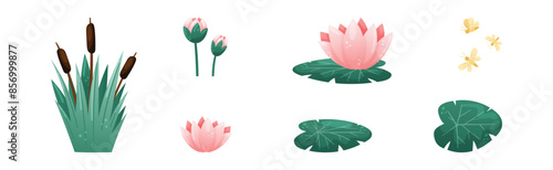Water and Swamp Plants Waterlily and Reed Vector Set