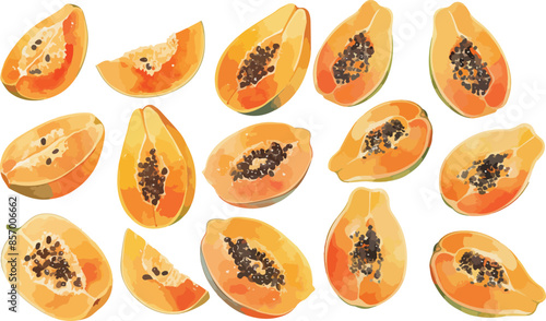 papaya watercolor clipart	