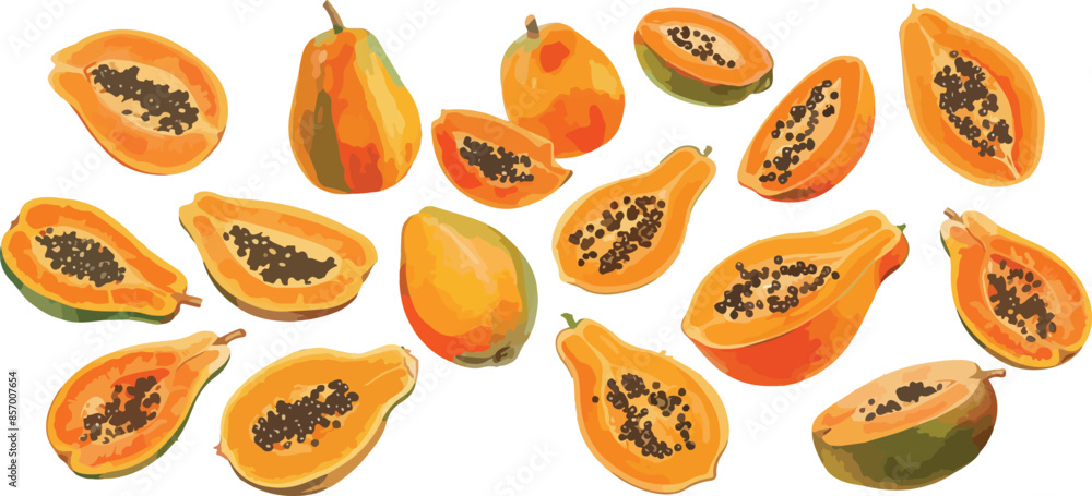 papaya watercolor clipart papaya watercolor clipart