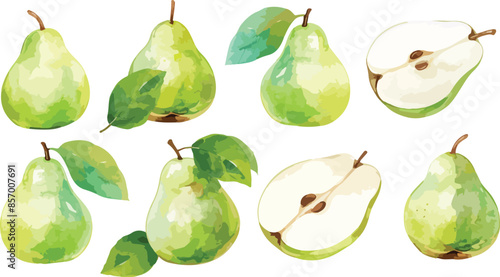 pear watercolor clipart	