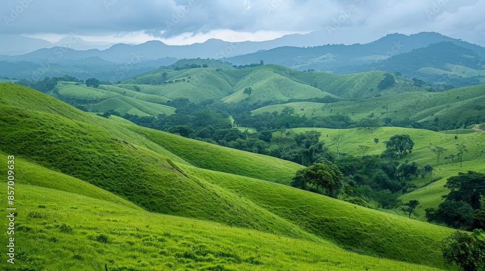 Fototapeta premium Imagine a vast expanse of rolling hills carpeted in lush greenery, with the gentle undulations of the landscape creating a sense of serenity and harmony in the countryside.