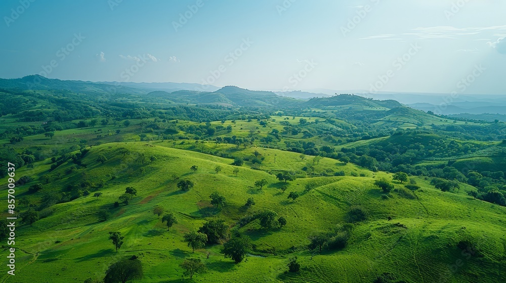 Fototapeta premium Imagine a vast expanse of rolling hills carpeted in lush greenery, with the gentle undulations of the landscape creating a sense of serenity and harmony in the countryside.