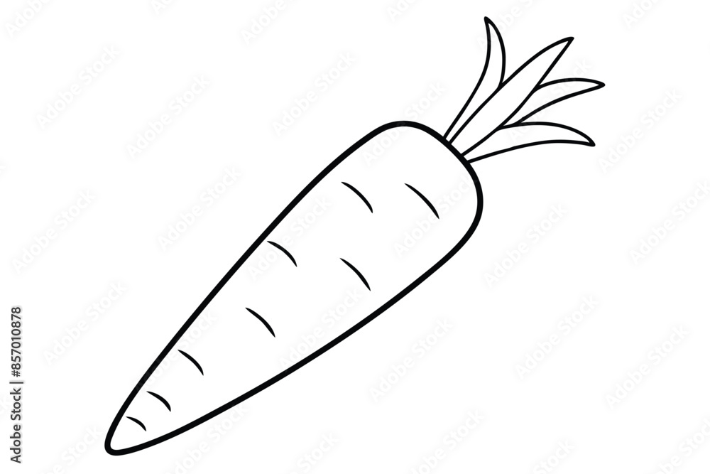 Carrot line art vector illustration Carrot line art vector illustration