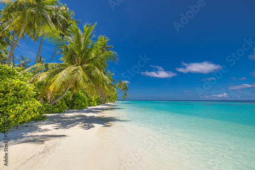 Fototapeta Naklejka Na Ścianę i Meble -  Summer beach landscape. Tropical island paradise. Exotic coast, palm trees, pristine sea, blue happy sky. Amazing nature pattern. Exotic destination travel background, vacation mood perfect wallpaper
