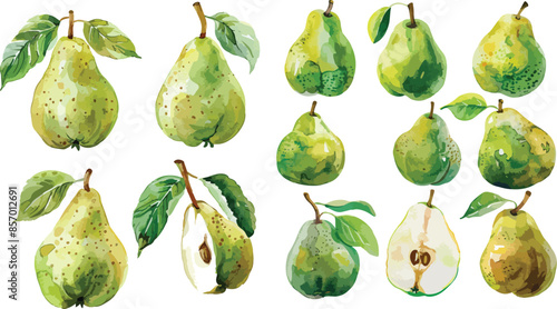 pear watercolor clipart	