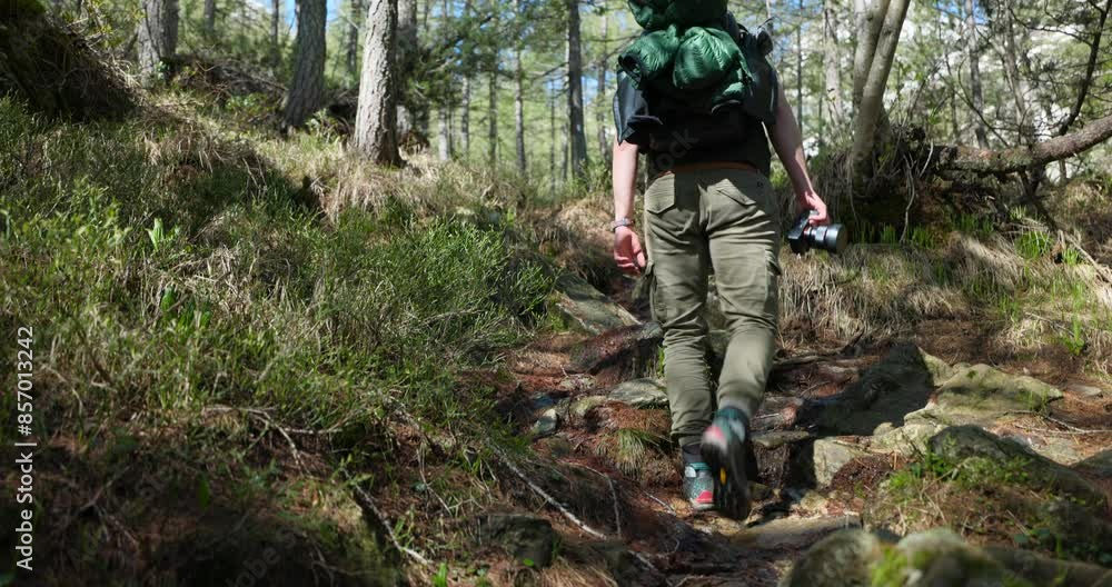 A man with backpack hikes up trail through forest while carrying a camera in hand A man with backpack hikes up trail through forest while carrying a camera in hand