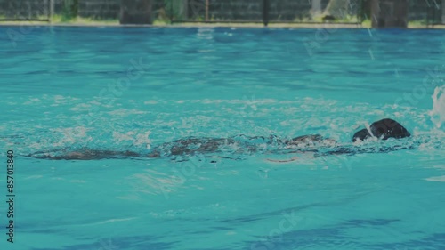 Wallpaper Mural Side view Of Young Female Swimmer Doing Freestyle In Swimming Pool Torontodigital.ca