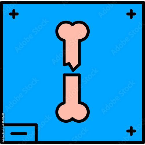 Bone X - ray Icon