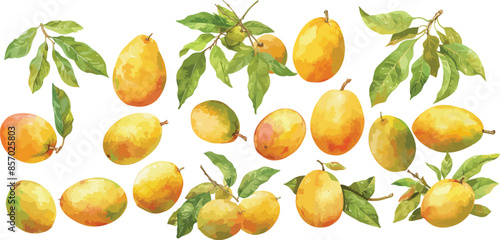 mango watercolor clipart	