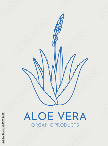 Hand drawn vector aloe vera illustration. Line art, retro. Plants and herbs for cosmetics. Logo template.