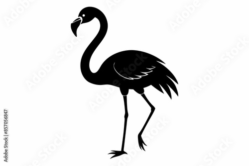 flamingo vector silhouette, Vector black flamingo silhouette, Black silhouette of tropical bird flamingo