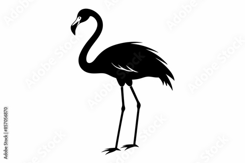 flamingo vector silhouette, Vector black flamingo silhouette, Black silhouette of tropical bird flamingo