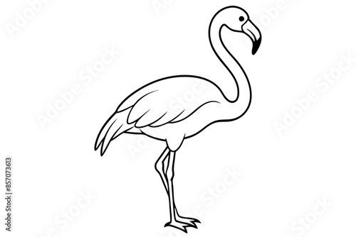 flamingo line art vector, tropical bird flamingo line drawing