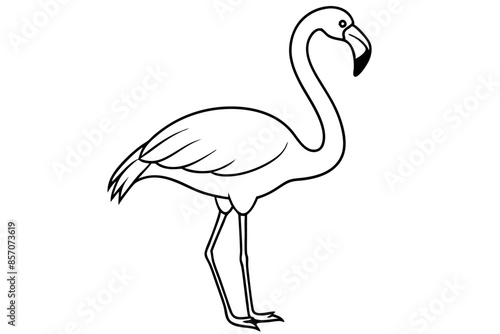 flamingo line art vector, tropical bird flamingo line drawing