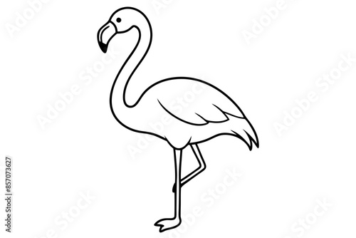 flamingo line art vector, tropical bird flamingo line drawing