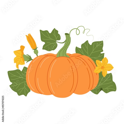 Pumpkin with vines and leaves. Fall floral arrangement with colorful pumpkin, flower, and leaves. Hand drawn flat style Isolated on transparent. Seasonal harvest Cucurbita plant. Vector illustration