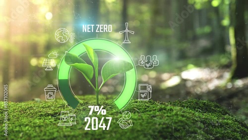 Net Zero Emissions 2050 Countdown Animation Young plant springing up out of the moss soil