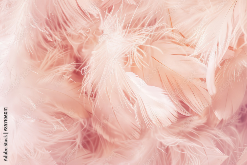 Feathery Plumes in Pastel Pink Close Up